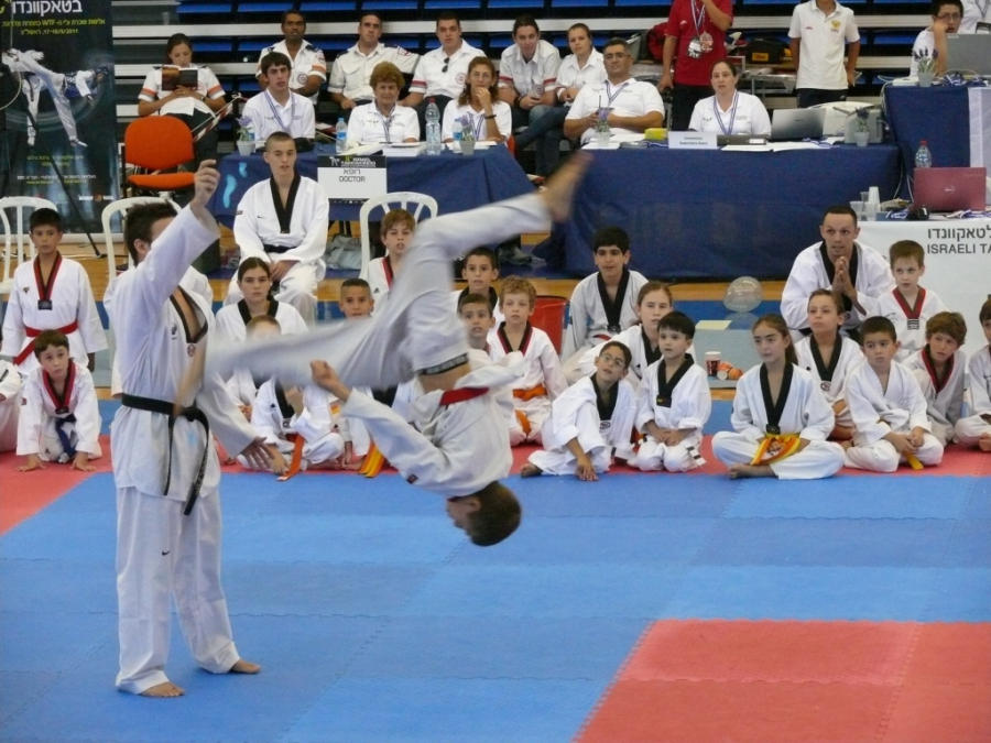 Taekwondo open. Тхэквондо проект